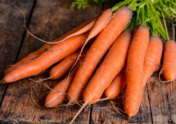 银屑病饮食最佳蔬菜胡萝卜